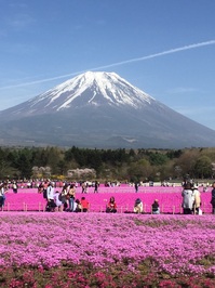 芝2.jpg